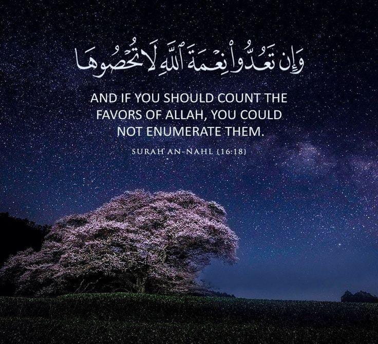 وَإِن تَعُدُّوا نِعْمَةَ اللَّهِ لَا تُحْصُوهَا إِنَّ اللَّهَ لَغَفُورٌ رَّحِيمٌ )