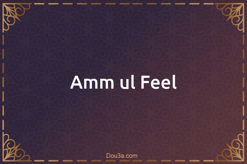 Amm-ul-Feel