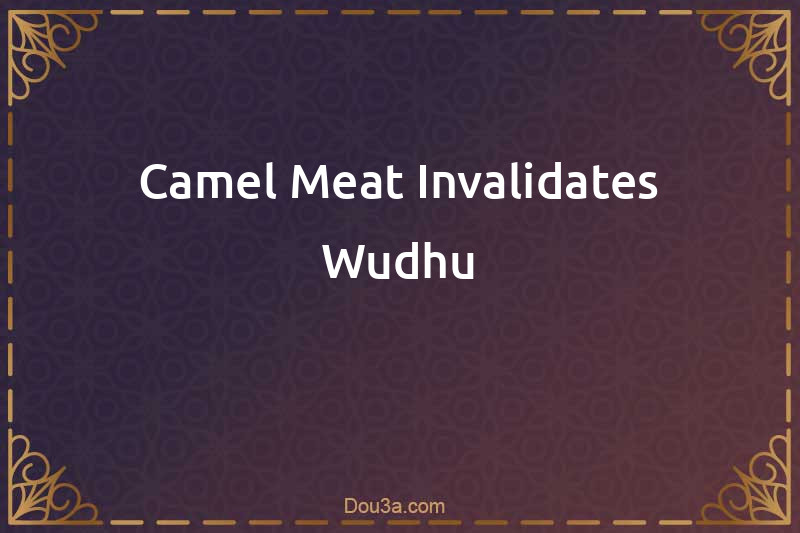 Camel Meat Invalidates Wudhu