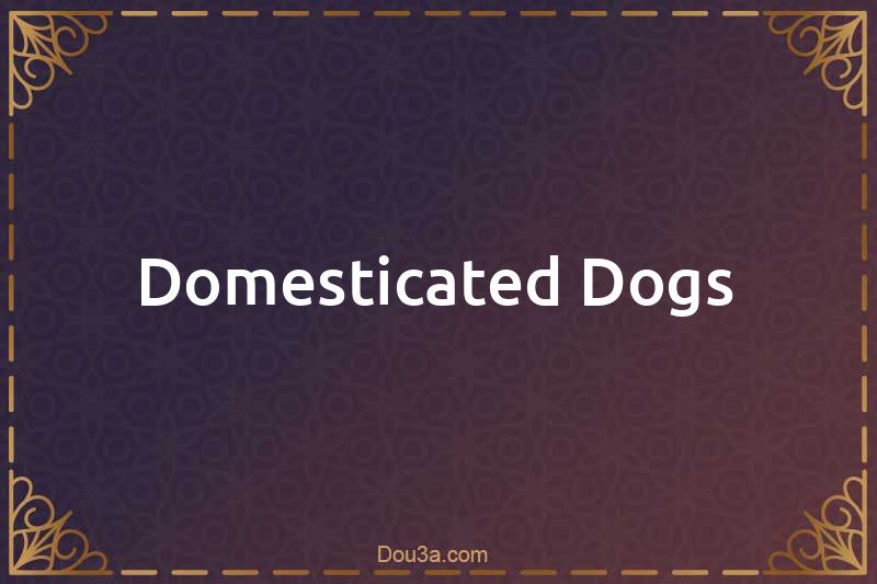 Domesticated Dogs