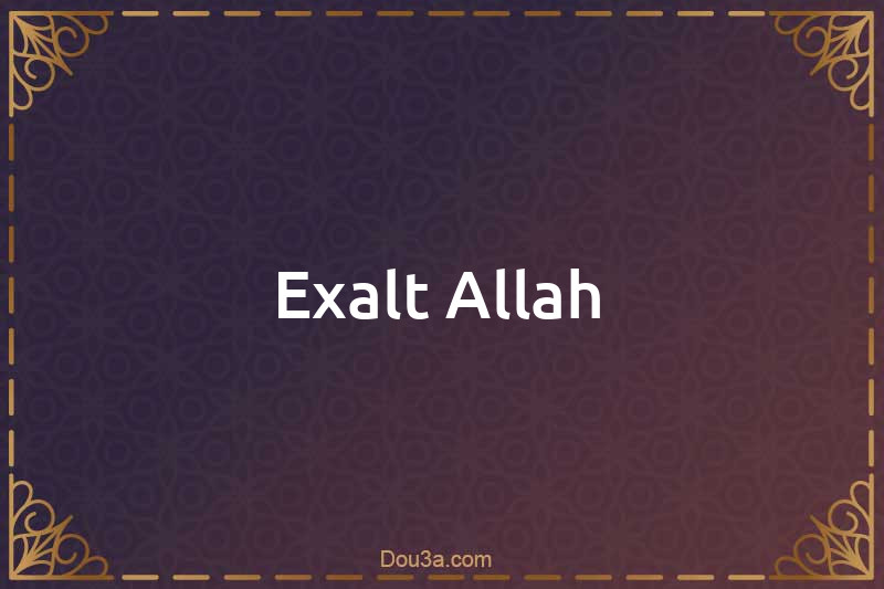 Exalt Allah