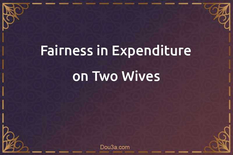 Fairness in Expenditure on Two Wives