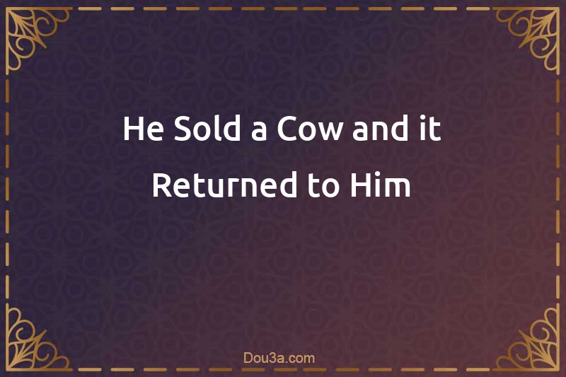 He Sold a Cow and it Returned to Him