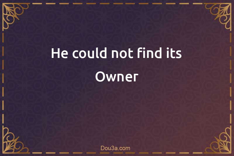 He could not find its Owner