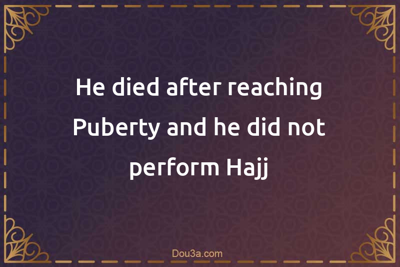 He died after reaching Puberty and he did not perform Hajj
