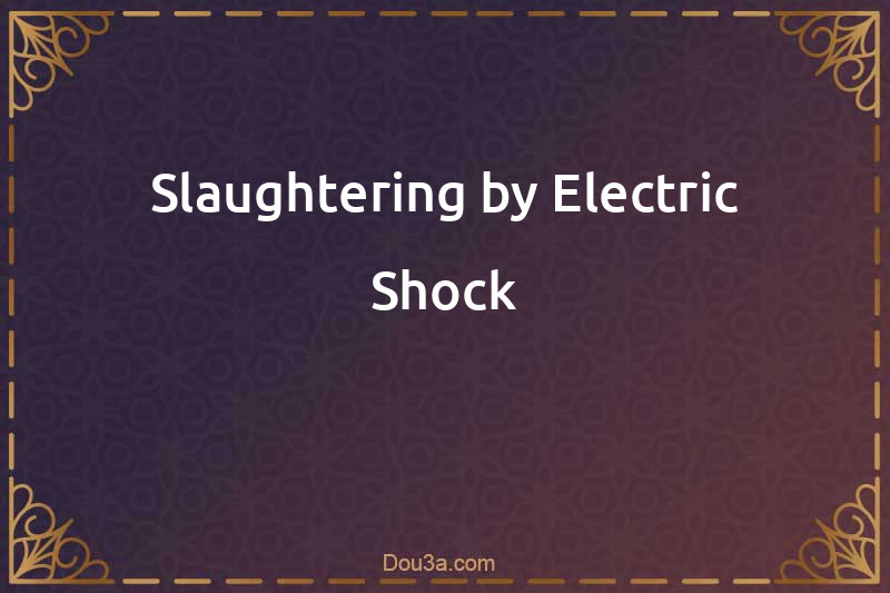 Slaughtering by Electric Shock