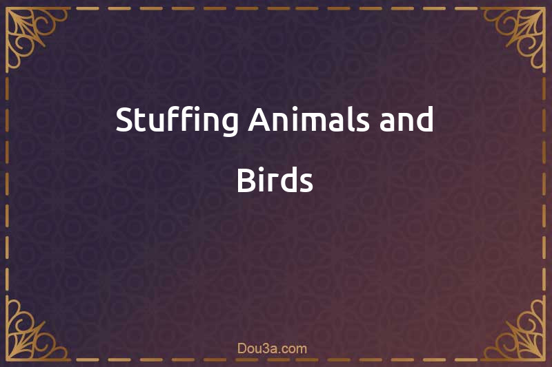 Stuffing Animals and Birds