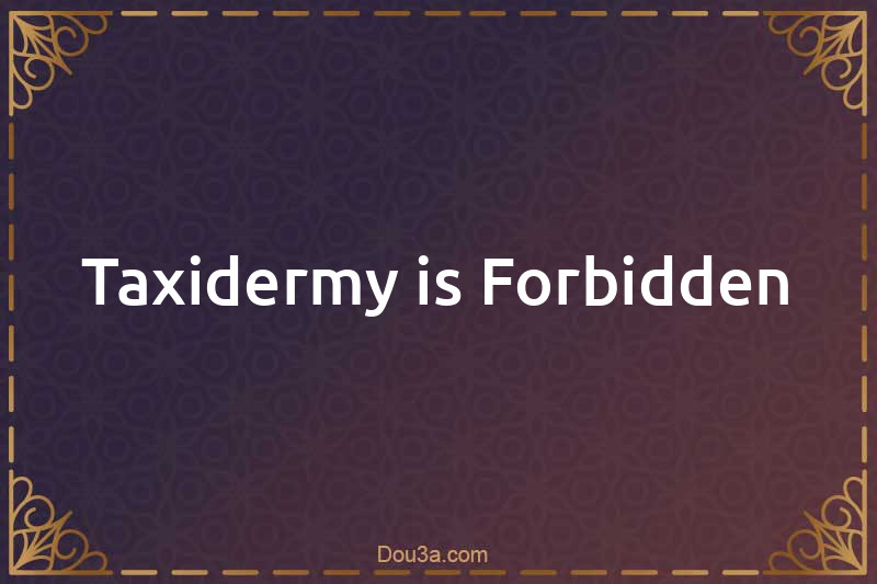 Taxidermy is Forbidden