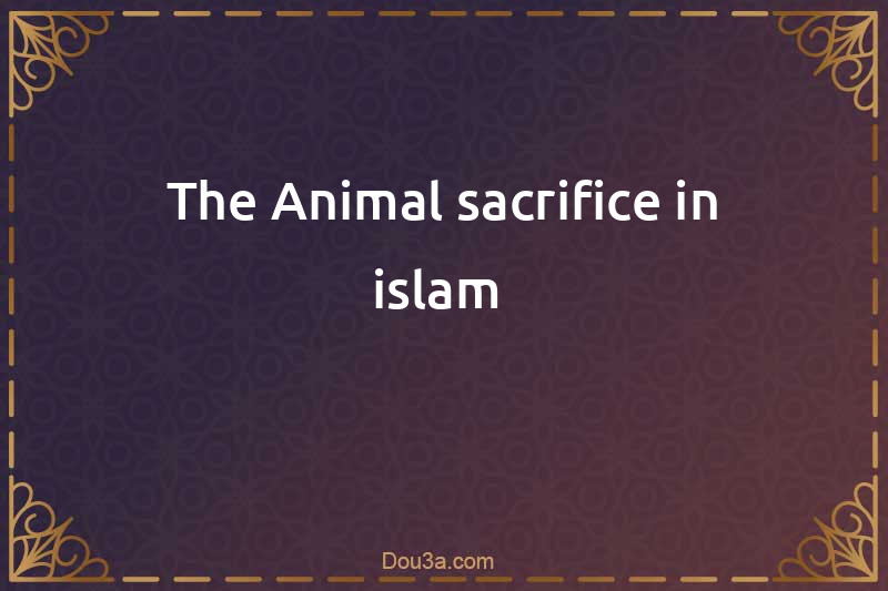 The Animal sacrifice in islam 