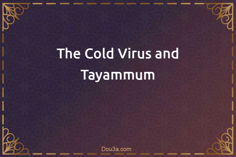 The Cold Virus and Tayammum