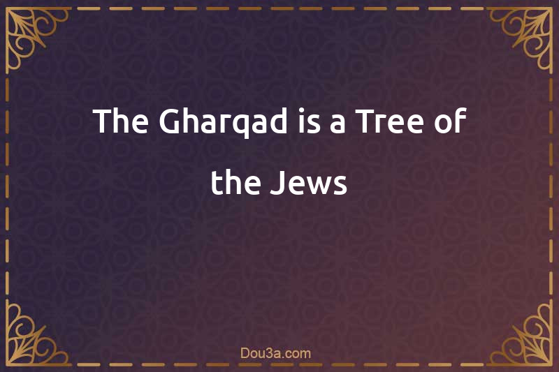 The Gharqad is a Tree of the Jews