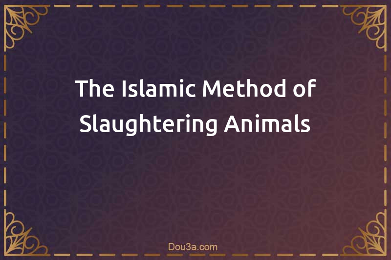 The Islamic Method of Slaughtering Animals