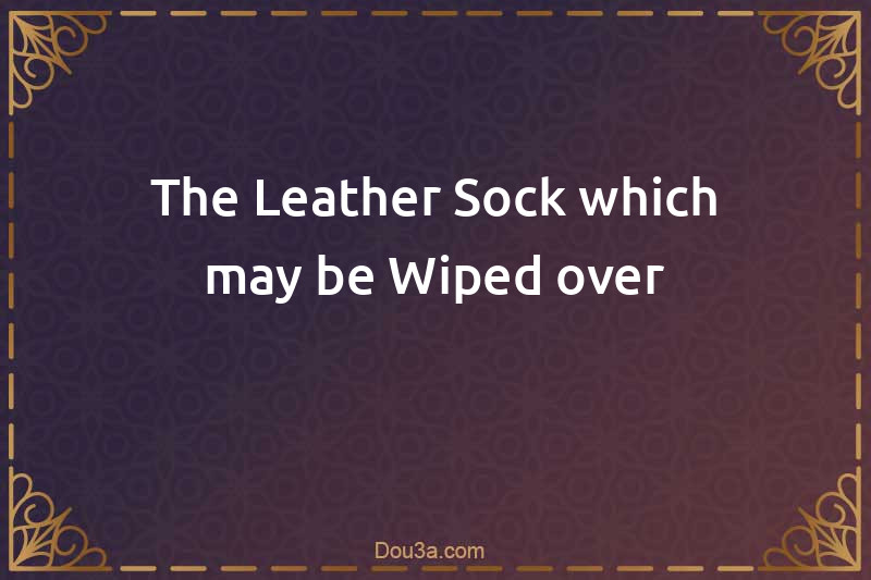 The Leather Sock which may be Wiped over