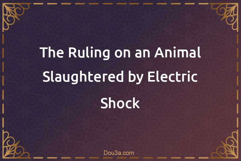 The Ruling on an Animal Slaughtered by Electric Shock
