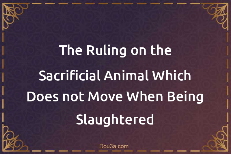 The Ruling on the Sacrificial Animal Which Does not Move When Being Slaughtered