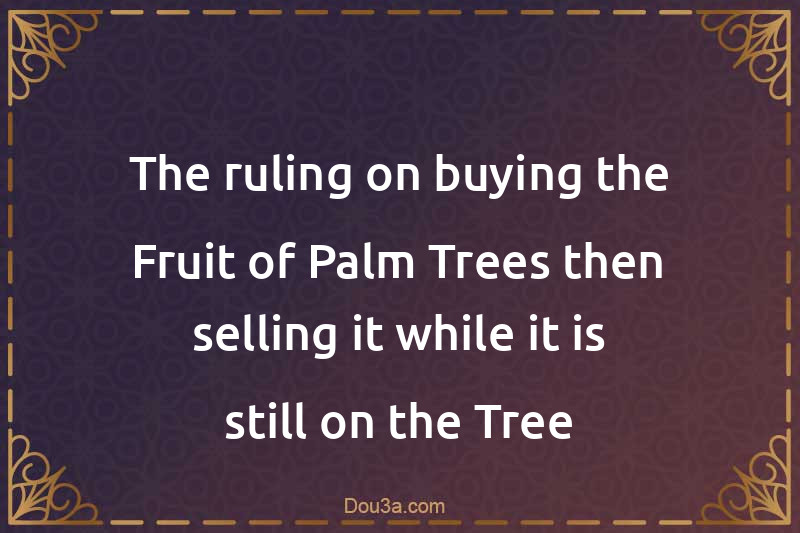 The ruling on buying the Fruit of Palm Trees then selling it while it is still on the Tree