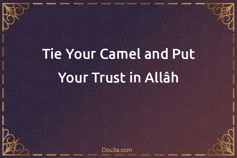 Tie Your Camel and Put Your Trust in Allâh